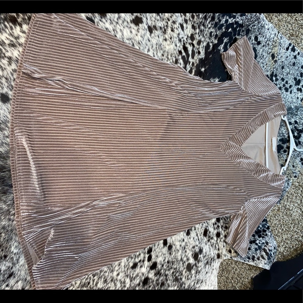 Entro Velvet Dress